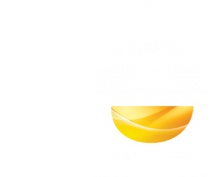 Estate Agent Web Design